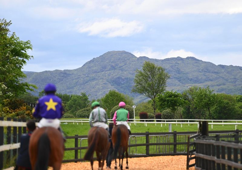 Leaving the parade ring at Killarney