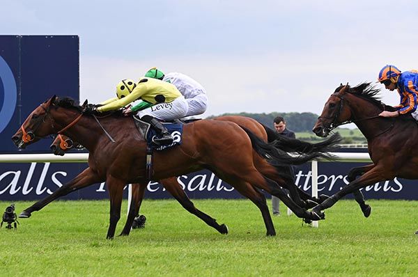 Rosallion, yellow, snatches the Irish 2,000 Guineas from Haatem, far side
