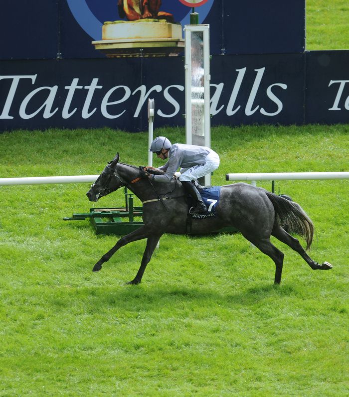 Fallen Angel and Danny Tudhope winning the Tattersalls Irish 1000 Guineas