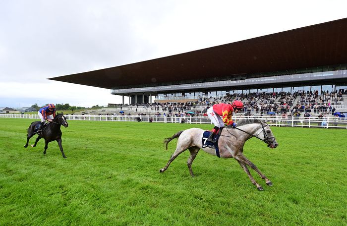 White Birch beat Auguste Rodin at the Curragh last month