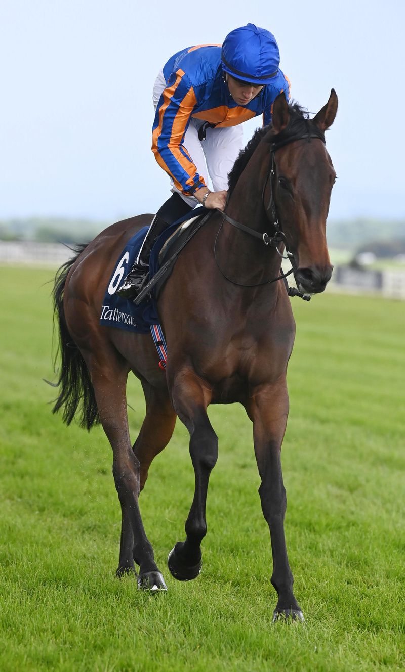 Everlasting won Listed race at Navan. 