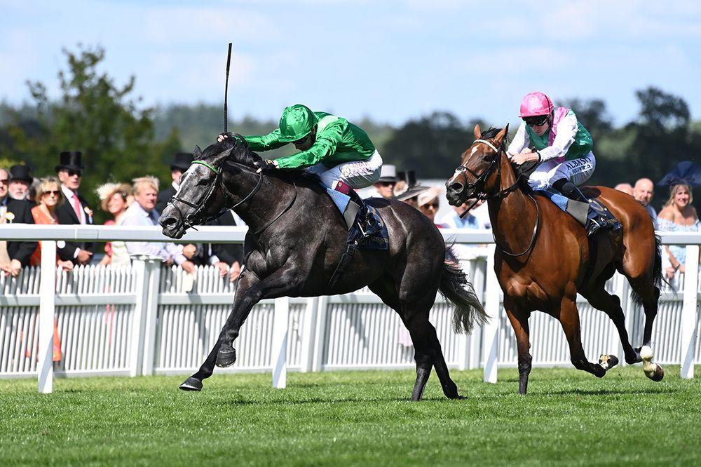 Laurel pictured finishing second to Running Lion at Royal Ascot