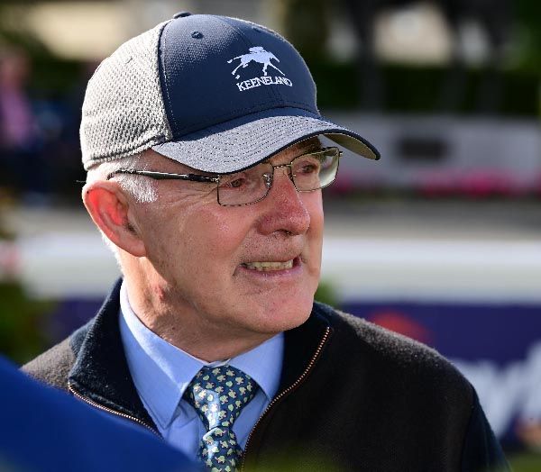 Trainer Ted Walsh praised the changes to John Durkan Chase. 