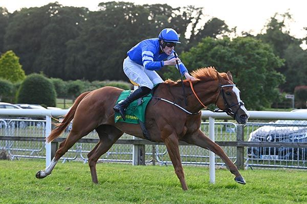 Eagle's Way and Dara McGill pictured on their way to victory