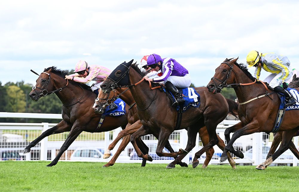 Cicero's Gift (far-side) wins under Billy Loughnane