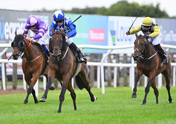 New Year Honours (cheekpieces) leads home No Niki No and Yokkell