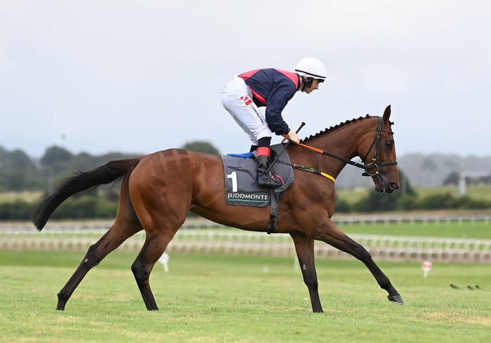 Caught U Looking runs in Group 3 race at Gowran on Saturday. 