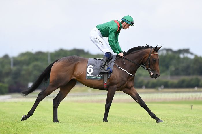 Hanalia and Ben Coen ran sixth in the Irish Oaks 