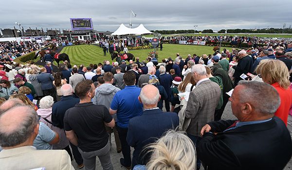 Packed enclosures expected at Galway this evening