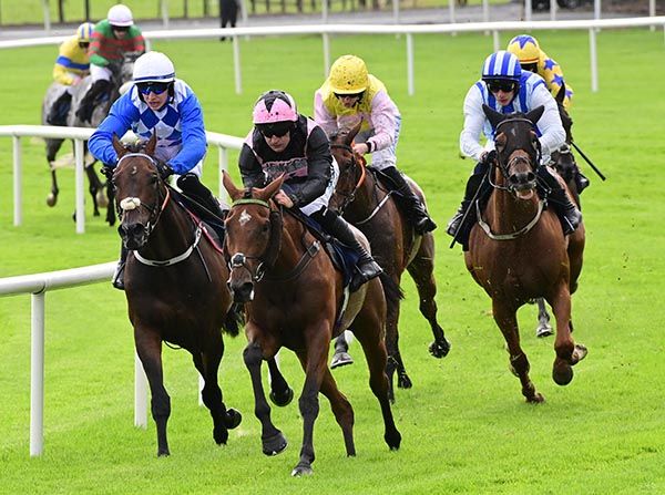 Galway 30 7 24 Gale Mahler wins the Colm Quinn BMW Novice Hurdle 