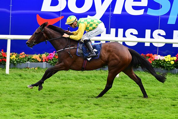 Oriole scores in the Donegal colours
