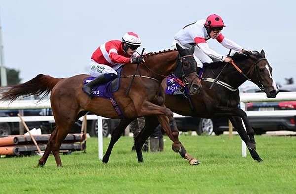 Burvea and Danny Gilligan (nearest) with Hasten Slowly