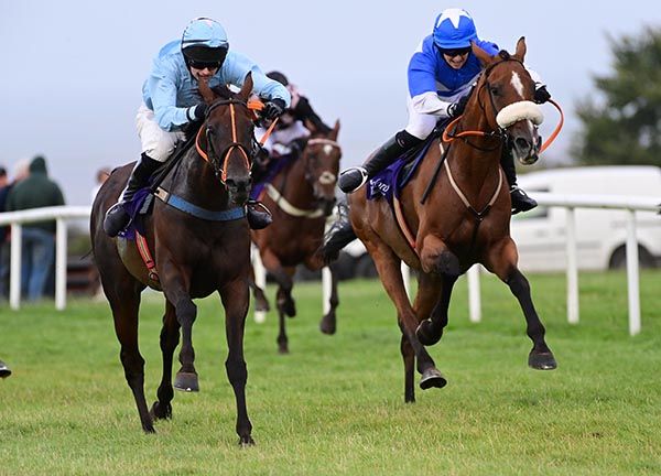 Cruisin Susan (left) beats Derby De Thaix
