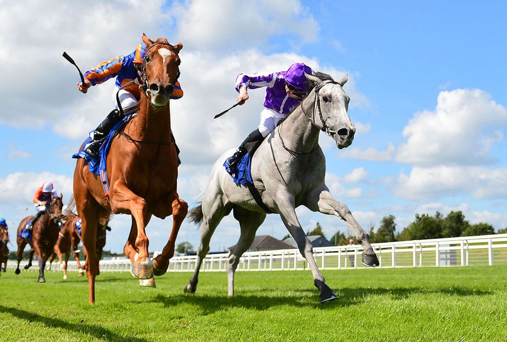 Falling Snow (right) and Gavin Ryan