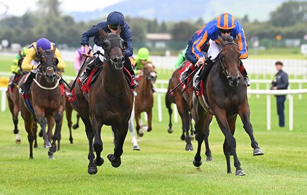 Girl Like You and Declan McDonogh (right) beat Snapdragon (left) 