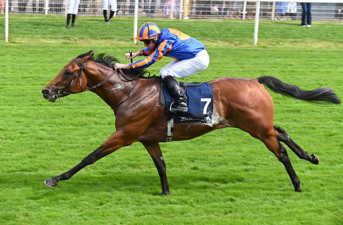 The Lion In Winter and Ryan Moore winning at York