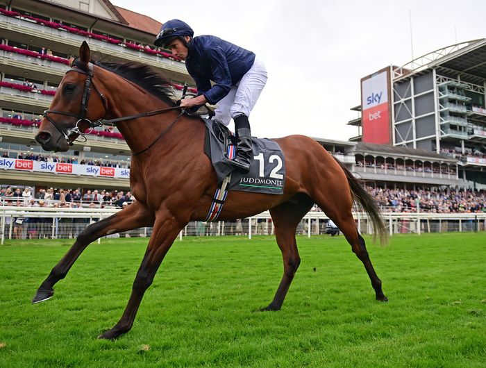 City Of Troy and Ryan Moore at York