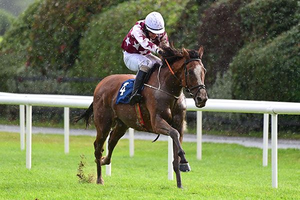 Murat is ridden out by Finian Maguire