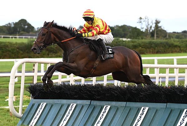 Camino Rock and Gavin Brouder