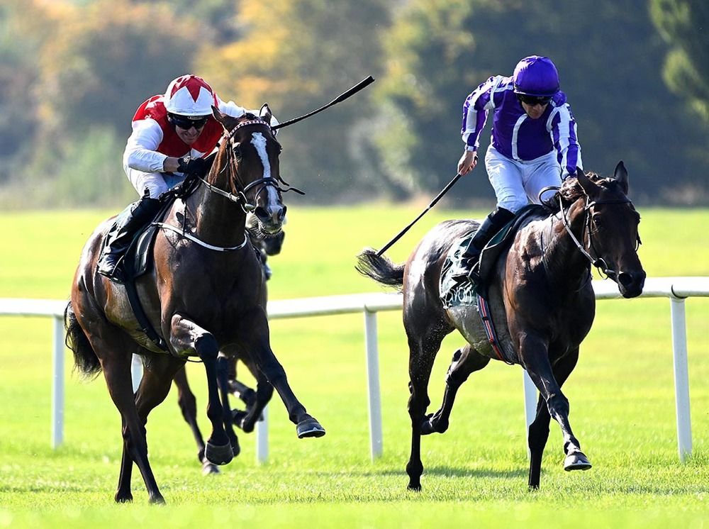 Golden Ocean and Seamie Heffernan (nearest) win from North Africa 