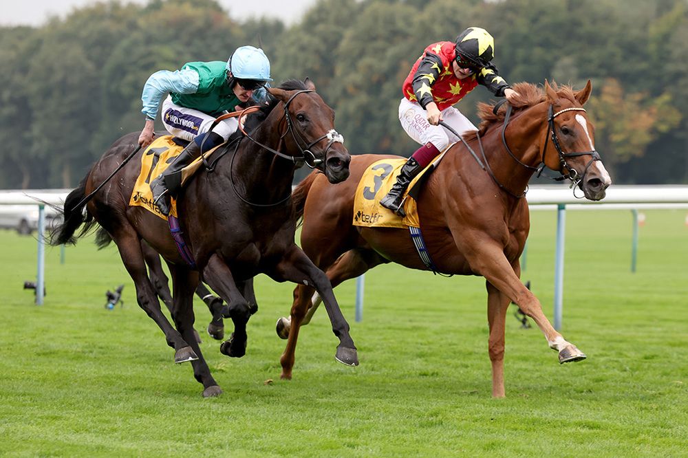 Mantassib and Cieren Fallon (red and black)