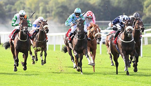 Grand City Hall, noseband on right, strong over the six furlongs