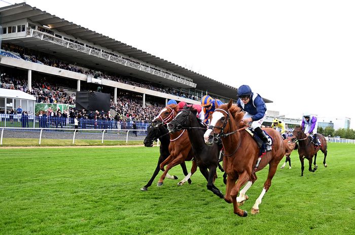 Economics getting the better of Auguste Rodin at Leopardstown