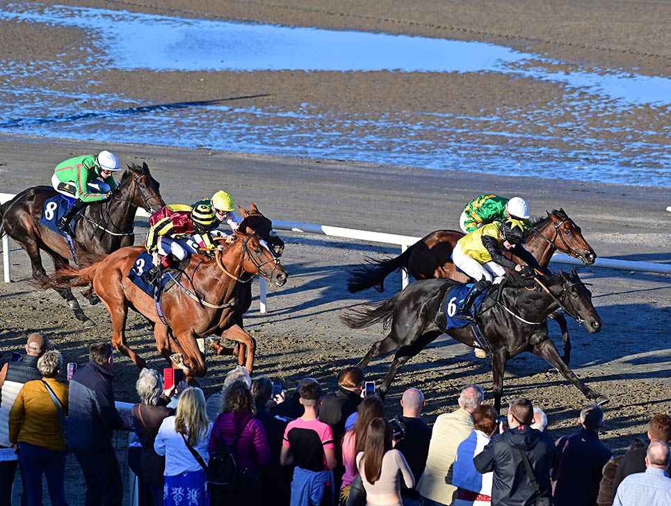 Roman Harry leads home his rivals under Seamie Heffernan