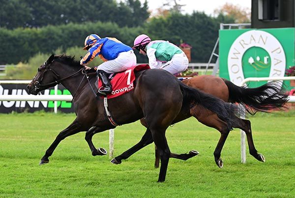 Island Hopping and Wayne Lordan 