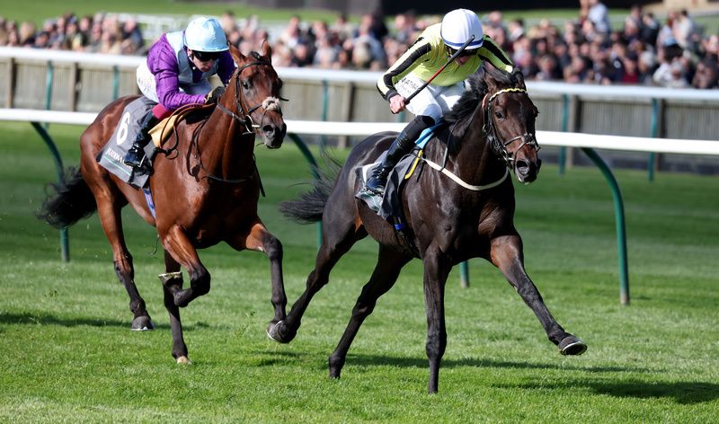 Wimbledon Hawkeye and James Doyle 