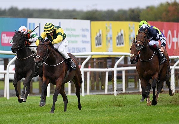 Sevensees is ridden out by Patrick McGettigan 