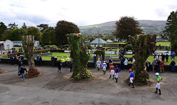 Clonmel's cut trees, with the new weigh room site situated on the far side of the parade ring