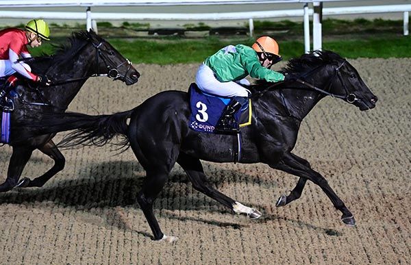 Black Storm approaches the winning post