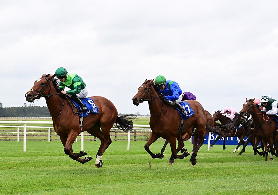 Giselle and Wayne Lordan 