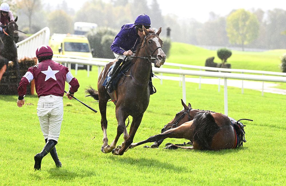 Fair Damsel takes advantage as Speculatrix comes down at the last
