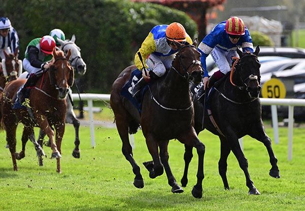 Sea Chariot (orange cap) under Colin Keane