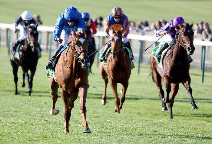 Desert Flower (royal blue) winning the bet365 Fillies Mile at Newmarket 