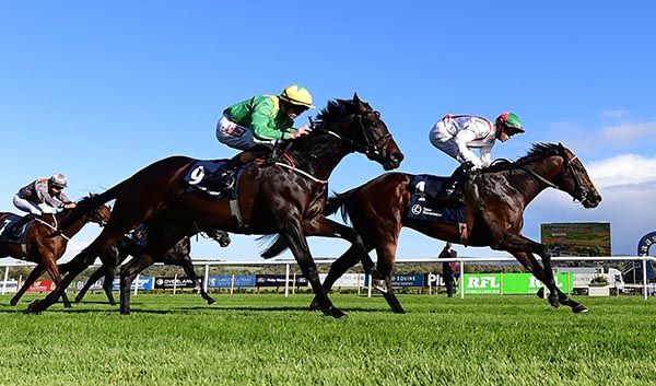 Last Encore (right) and Dylan Browne McMonagle winning the Birdcatcher Premier Nursery