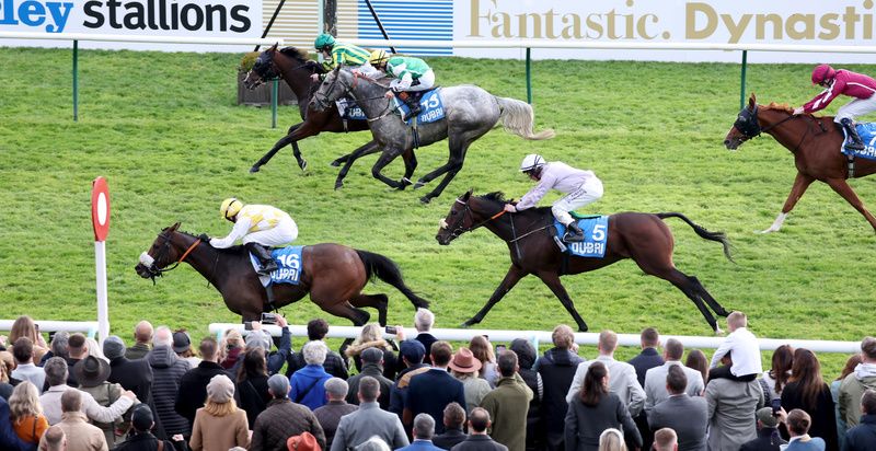 Manxman (stripes, far side) was second past the post in the Cesarewitch