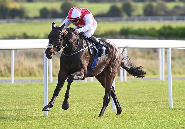 Hello Neighbour forges home under Gary Carroll