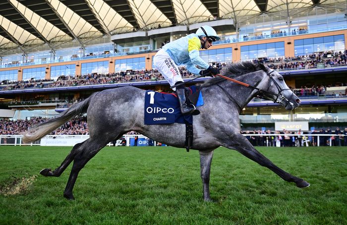 Charyn and Silvestre de Sousa 