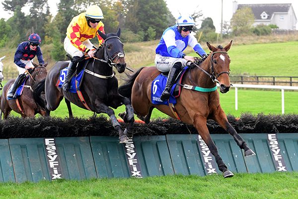 Miss Dishy and Eoin Walsh (right) jump the last