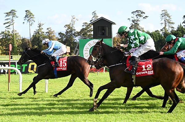  Pretty Lavish and Wayne Lordan lead them home