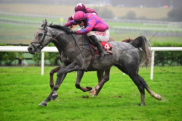 My Great Mate and Danny Mullins