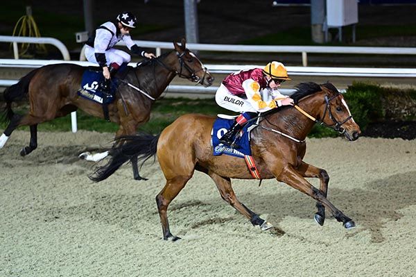 Proleek Prince and Rory Mulligan lead home Letiza and Wayne Hassett 