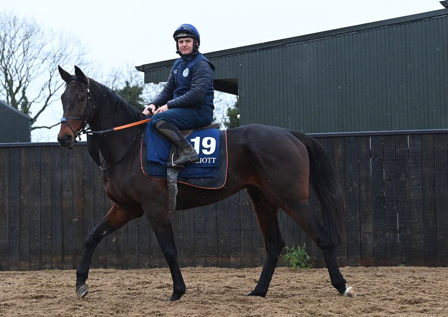 Farren Glory and Bobby McNally at Cullentra this morning