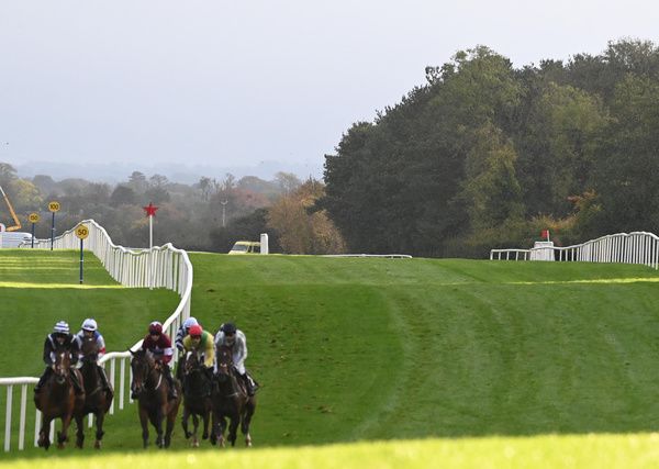 Punchestown will hold a precautionary 7.30am inspection.