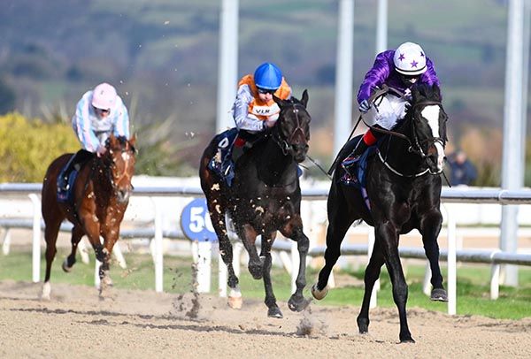 Queens Fury and Colin Keane 