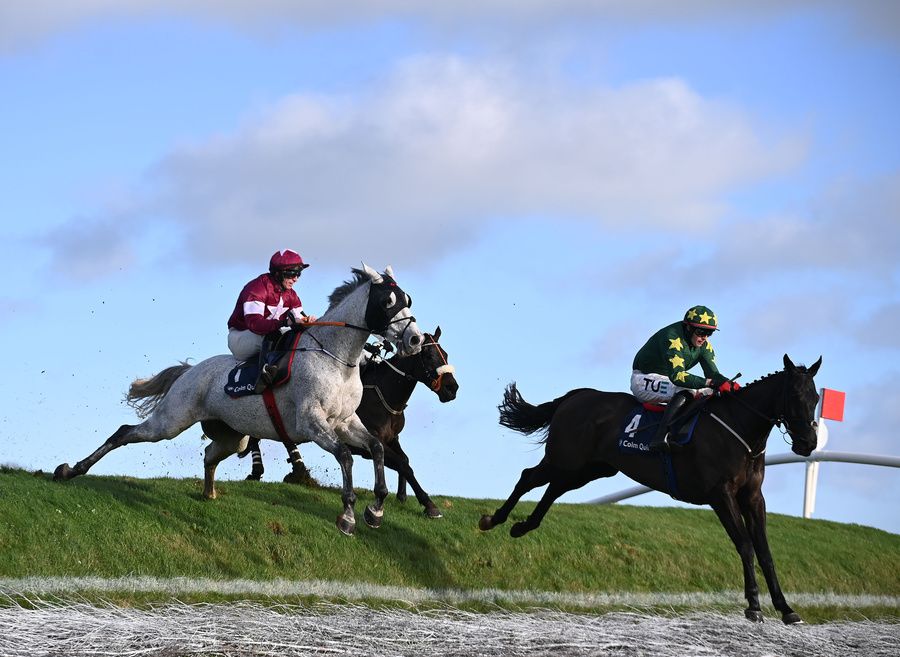 Stumptown (Keith Donoghue) leading over the banks at Punchestown