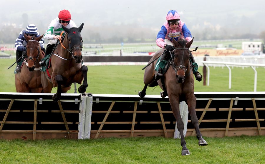 Country Mile and Harry Skelton (pink & blue) 